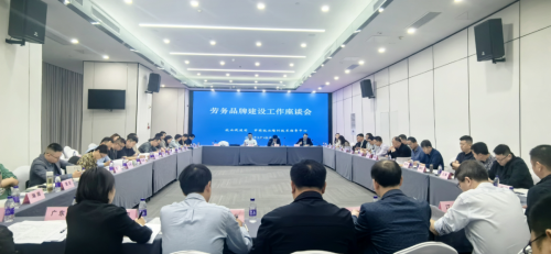勞務品牌建設工作座談會在海南海口成功召開，共商勞務服務發展新篇章